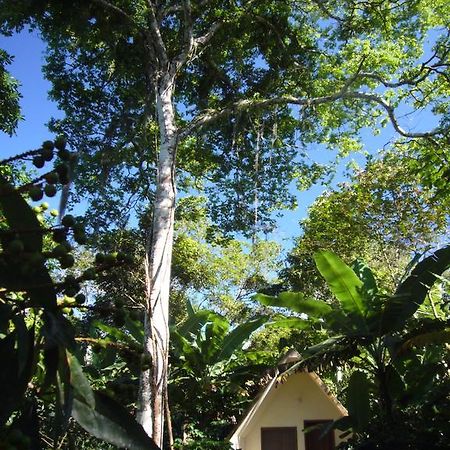 Chales Sitio Do Alemao Ubajara Eksteriør bilde