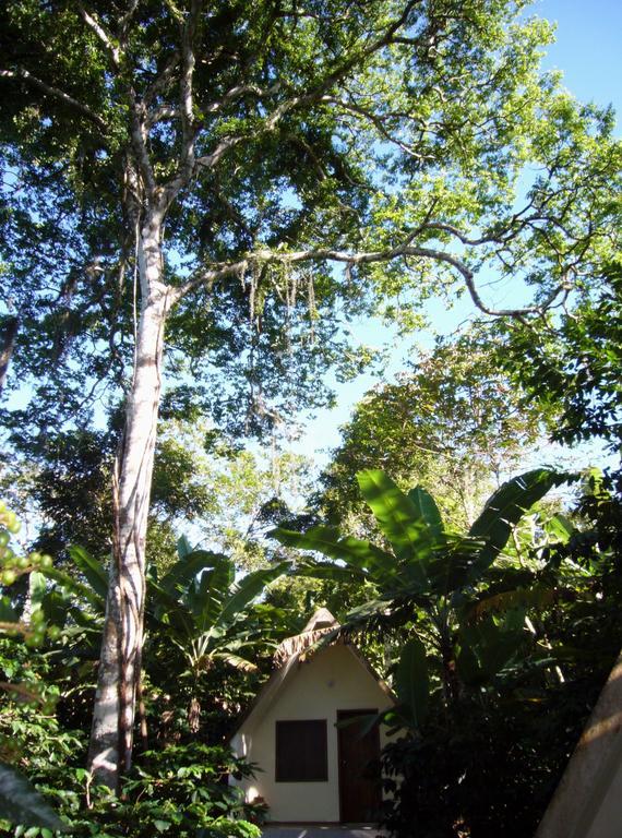 Chales Sitio Do Alemao Ubajara Eksteriør bilde