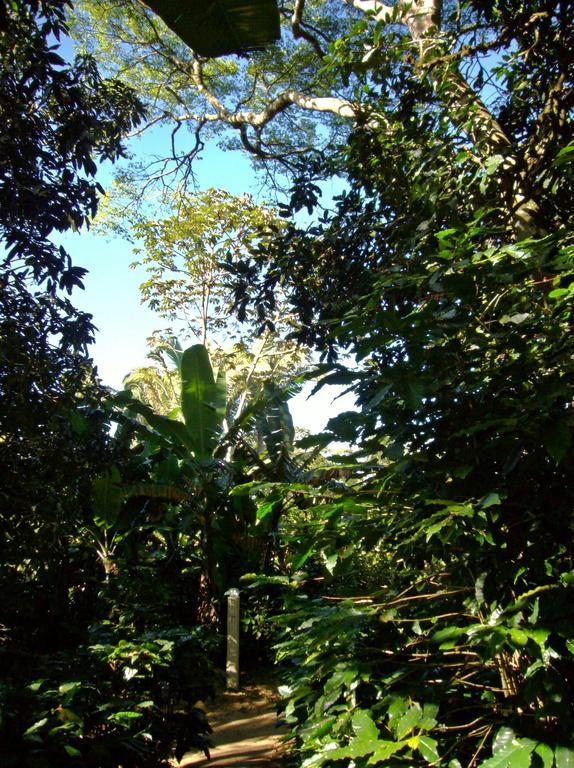Chales Sitio Do Alemao Ubajara Eksteriør bilde