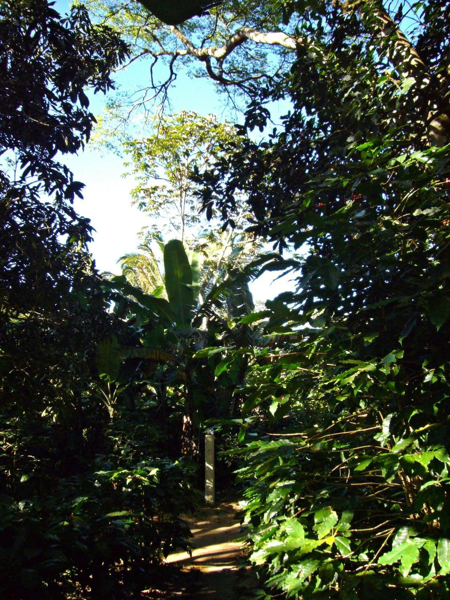 Chales Sitio Do Alemao Ubajara Eksteriør bilde