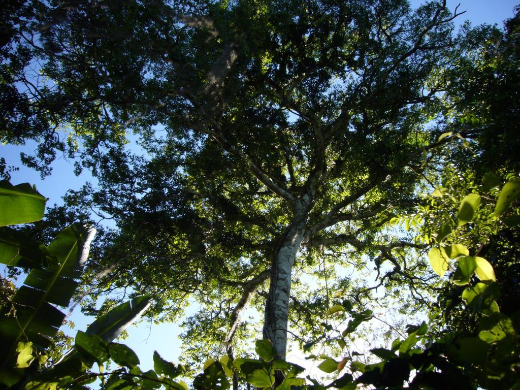 Chales Sitio Do Alemao Ubajara Eksteriør bilde