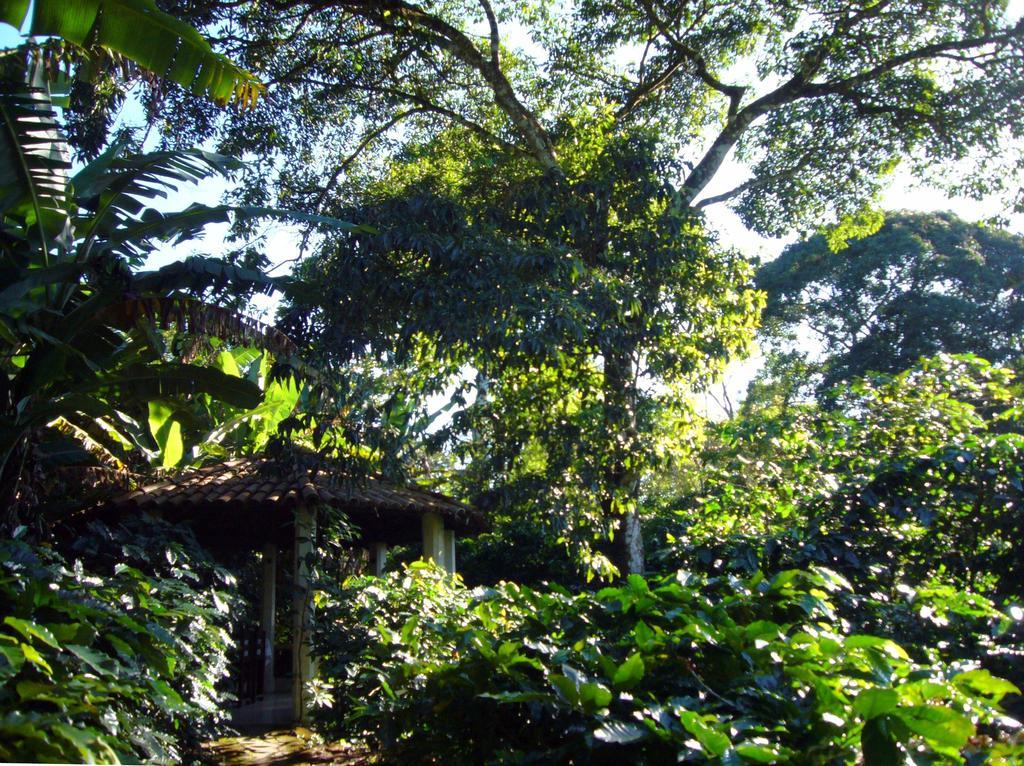 Chales Sitio Do Alemao Ubajara Eksteriør bilde