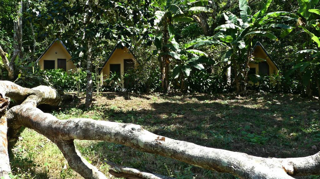 Chales Sitio Do Alemao Ubajara Eksteriør bilde