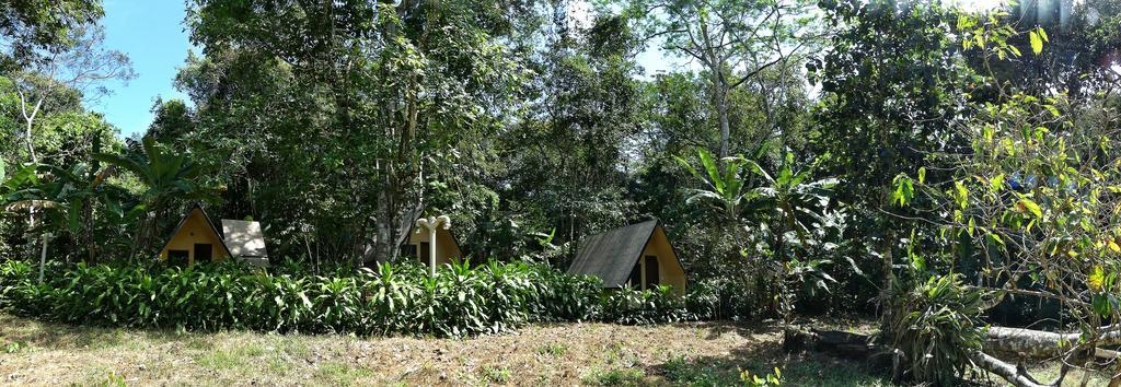 Chales Sitio Do Alemao Ubajara Eksteriør bilde